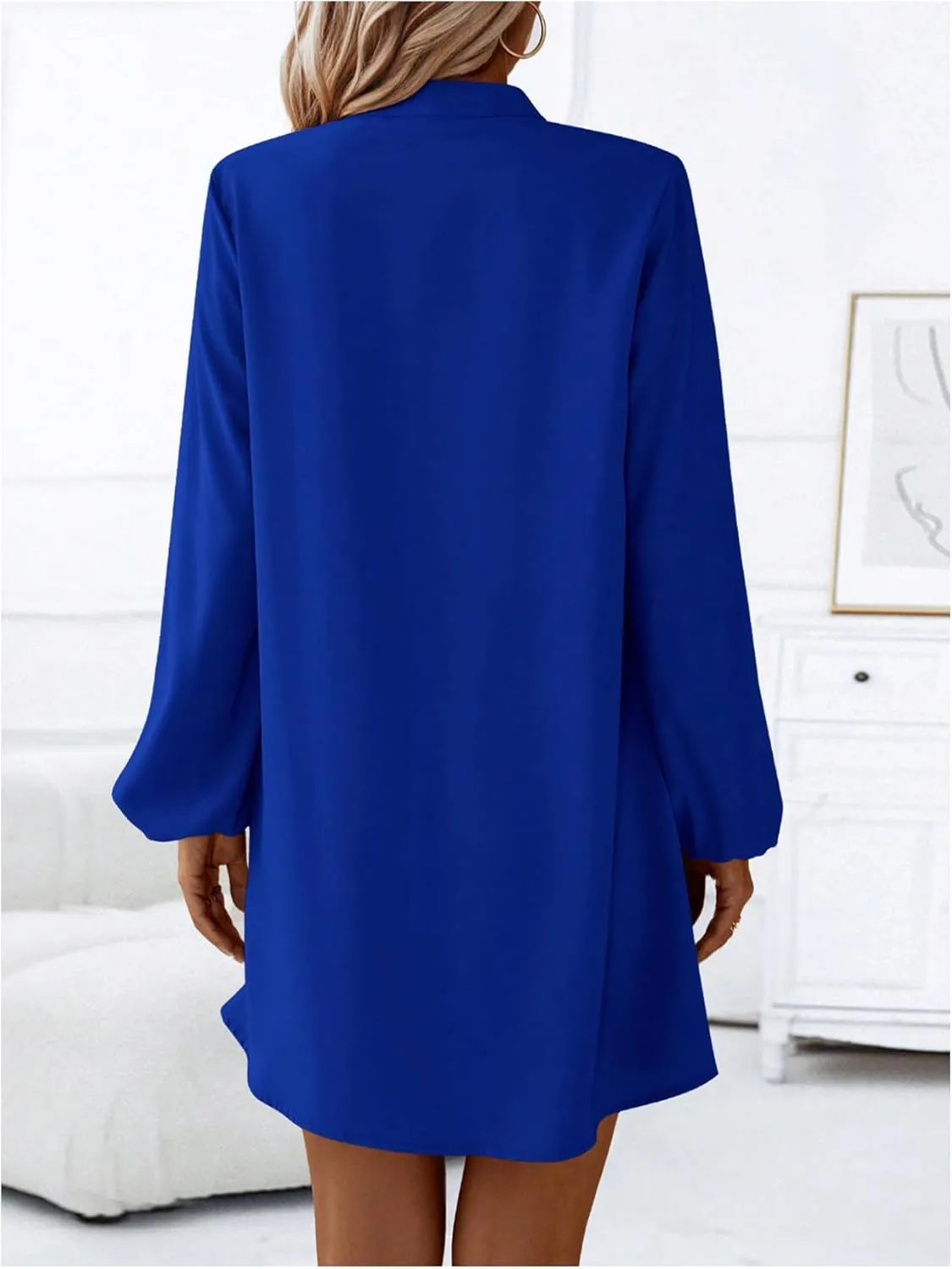 SweatyRocks Women's V Neck Pullover Shirt Dress A Line Long Lantern Sleeve Flared Loose Mini Dresses